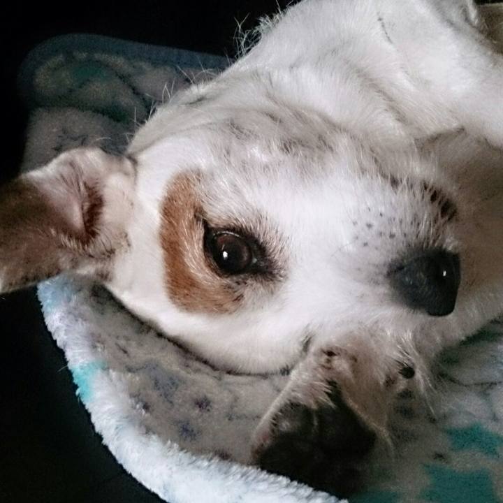 Ed3e08c7 3428 4da6 af48 fbb5a2f04883