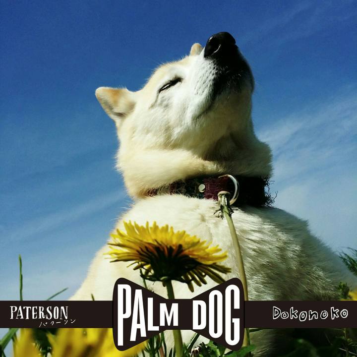 Ed3eb36c eea8 4973 b37d 72781c3d56e7