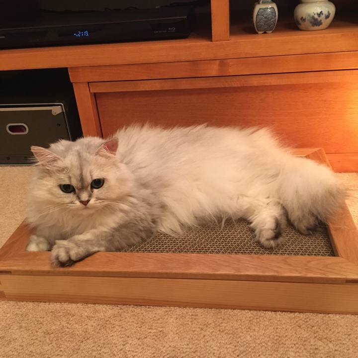 Ed3ec08c 0606 454f abfc e348cbdbf983