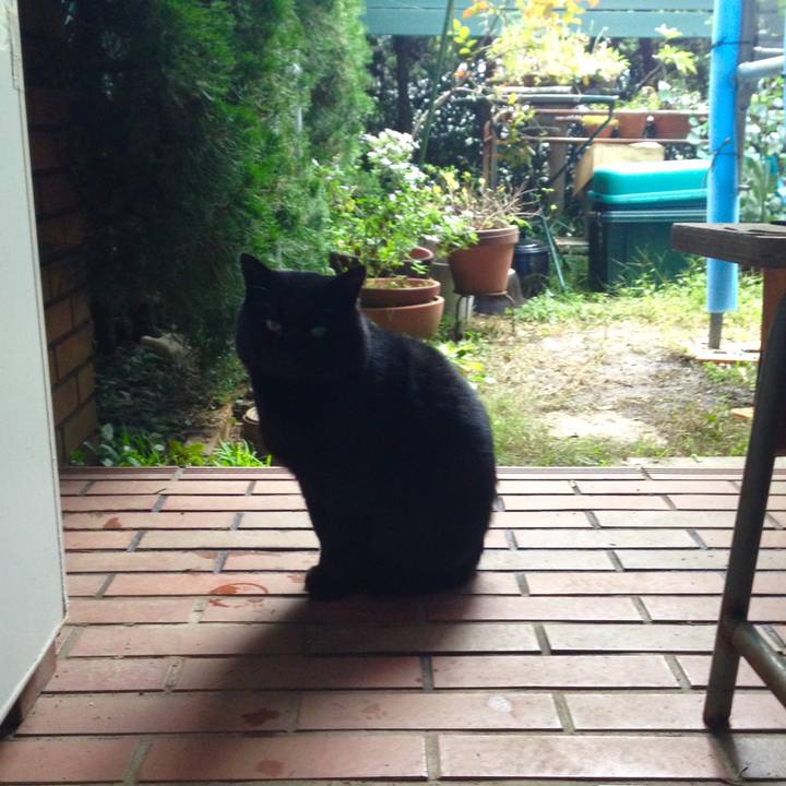 Ed3ec195 ee7f 4d62 891c 140333f7116e