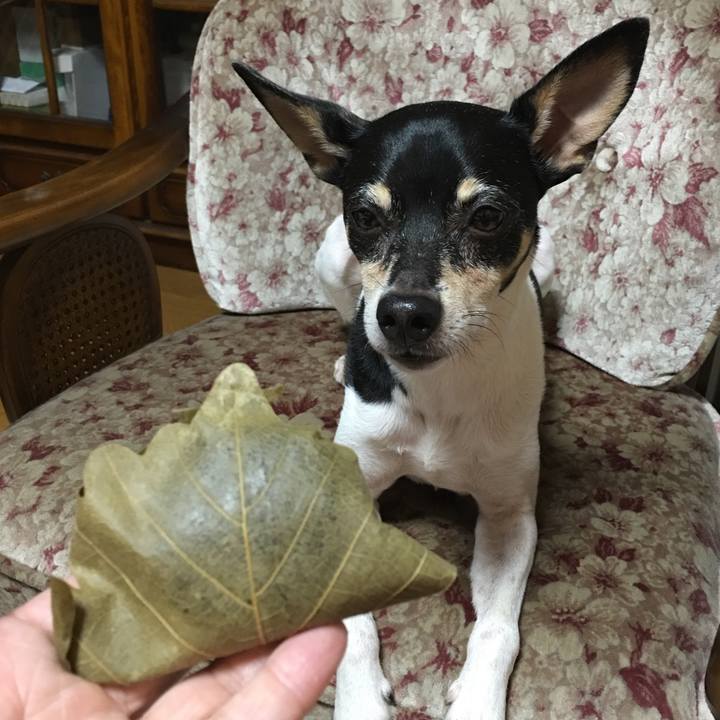 Ed40fc03 7d7f 4e11 914b 1b0a6fd6de60