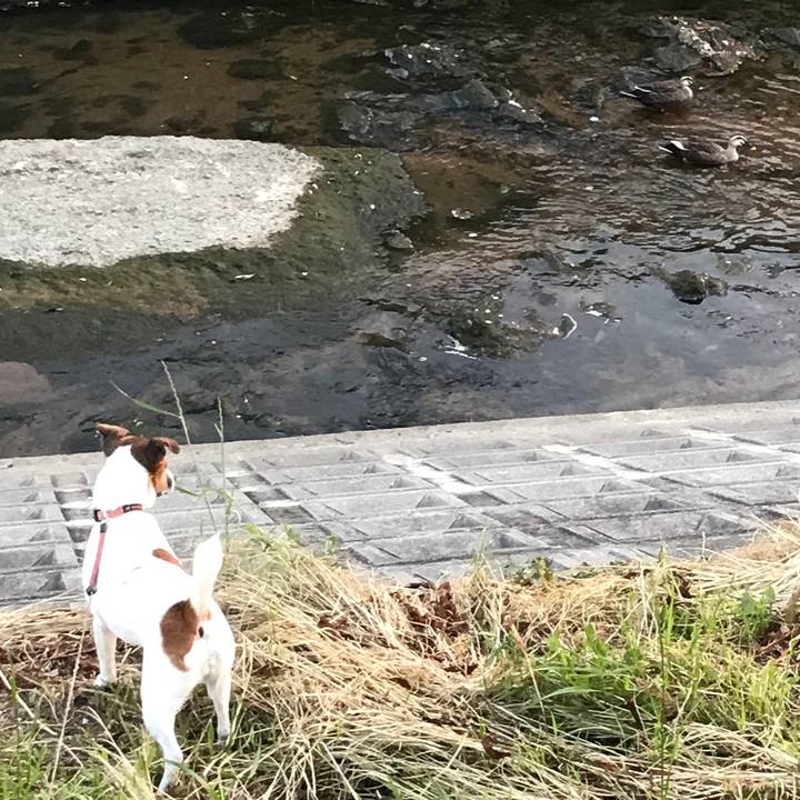 Ed4126d6 f0e4 4690 ae37 0b5a6daa54e4