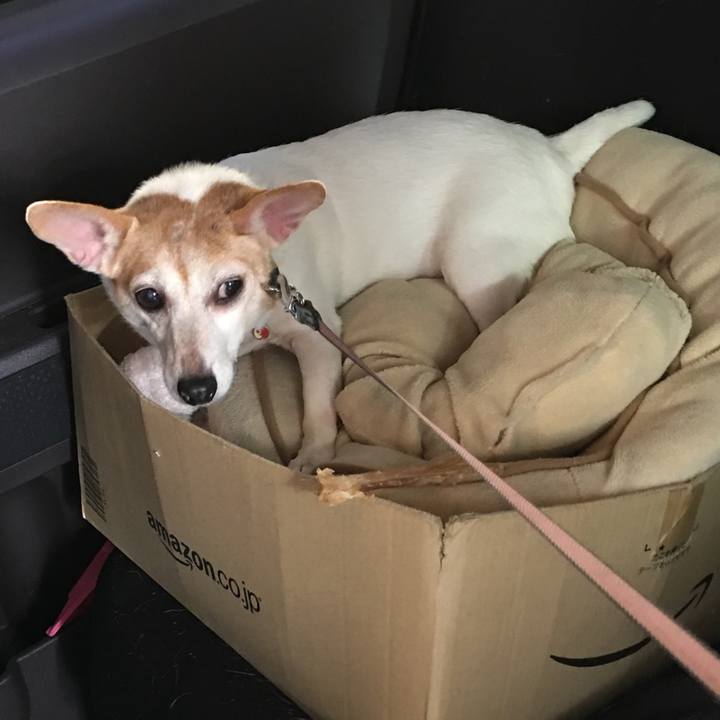 Ed4129f2 0208 4ec1 9369 83a61561eda7