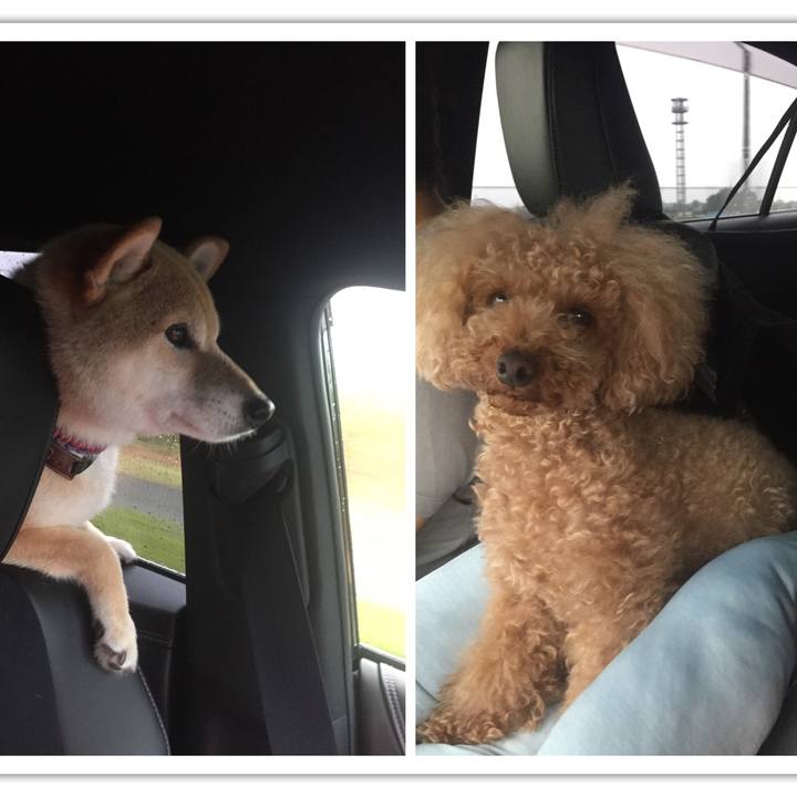 Ed4167d5 c8dd 46d5 bff0 5d403793a317