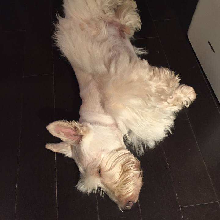 Ed41b562 6674 4e60 b8c3 126c411fc8e1