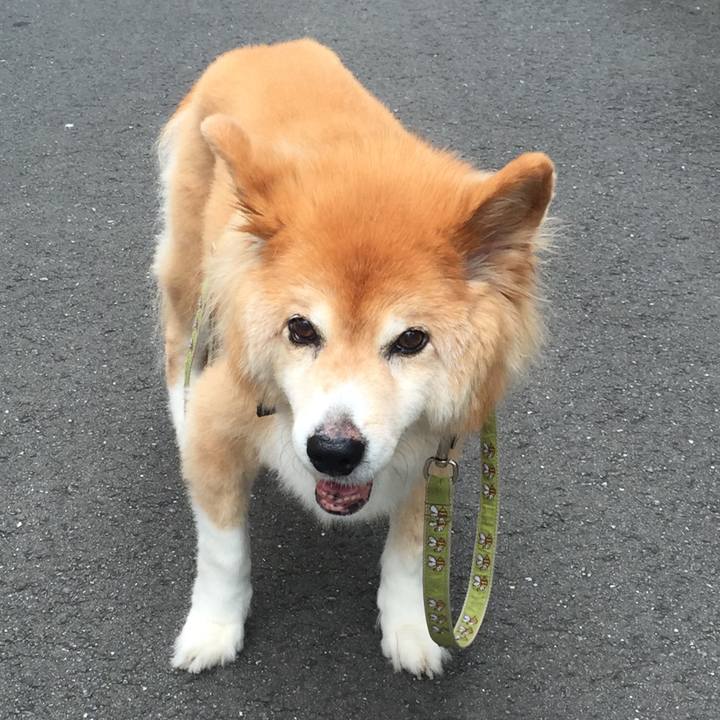 Ed41e834 e5f8 47b1 b093 c3acc61f1f2a