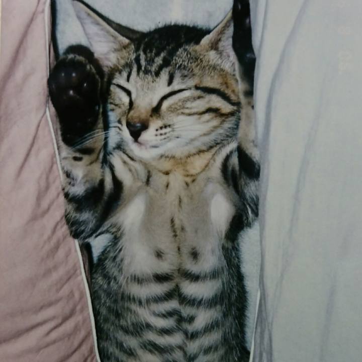 Ed4281b2 06ce 4ca6 8ad5 4118aa9aaa1b