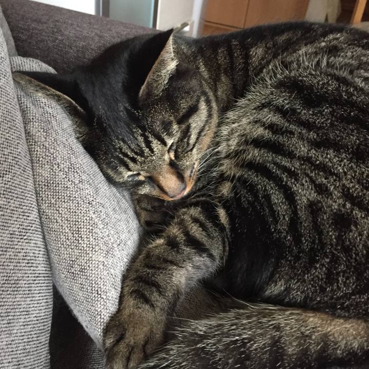 Ed42931e db61 43b6 a355 928acf1617bd