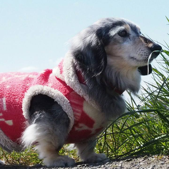 Ed429854 cbd1 4d20 9549 7d2af89c95ec