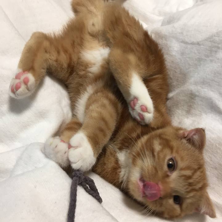 Ed42b1d8 a415 4227 abfb cc1cf48d08f5