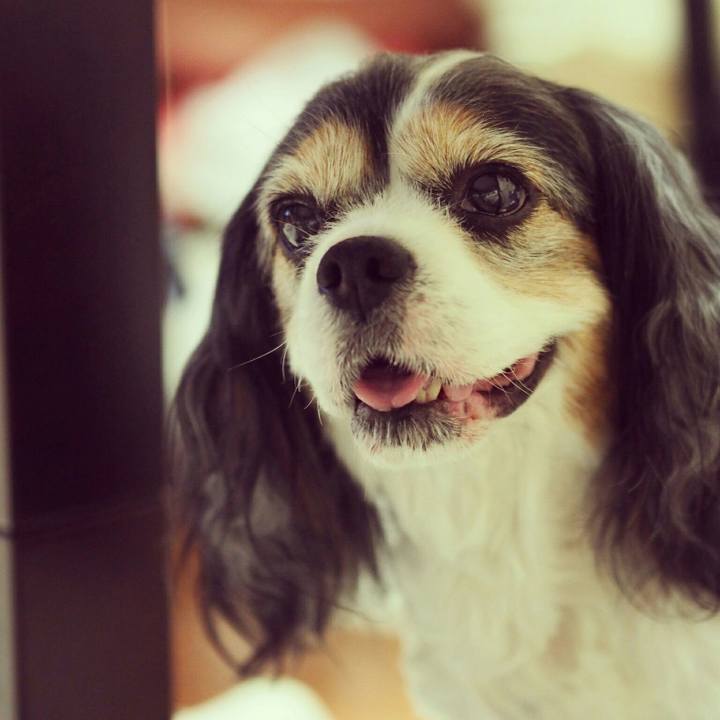 Ed446180 fb8b 4005 8302 d5e6ad913061