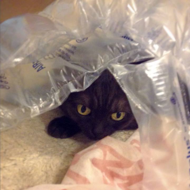 Ed4490d9 4b65 4acf 8713 b4bbe3f2a8bb