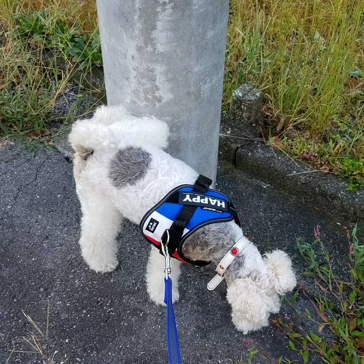 Ed44c5c5 086b 4e50 a987 7f4fa99ec0a7