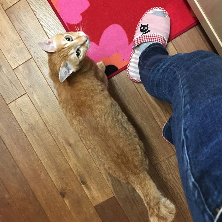 Ed45a416 6157 46ba ba68 c4ce15923b9f