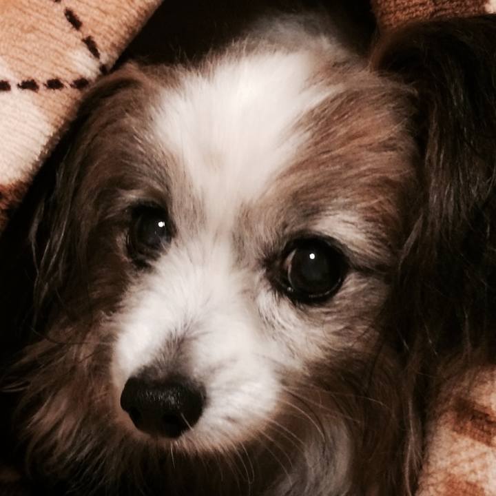 Ed45e1f1 17e9 49d7 90df ad249f5050bf