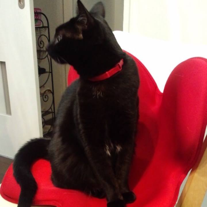 Ed45fe47 d3c0 4ae8 be80 fb079eb1c193