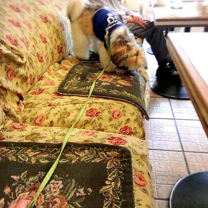 Ed467feb 4065 42c1 8dca 345ffa3d48e6