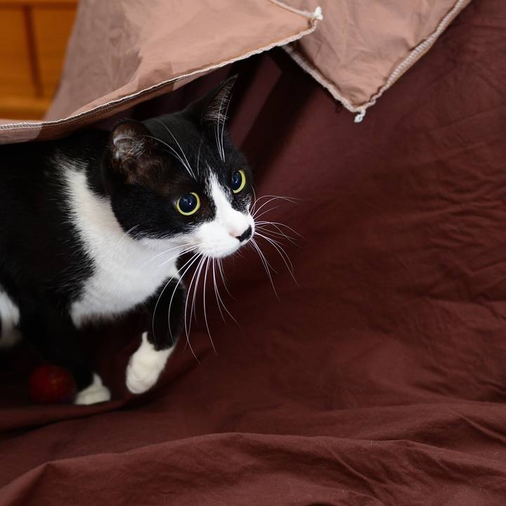 Ed479825 9029 473b 8bea 5fdb732cbc6a