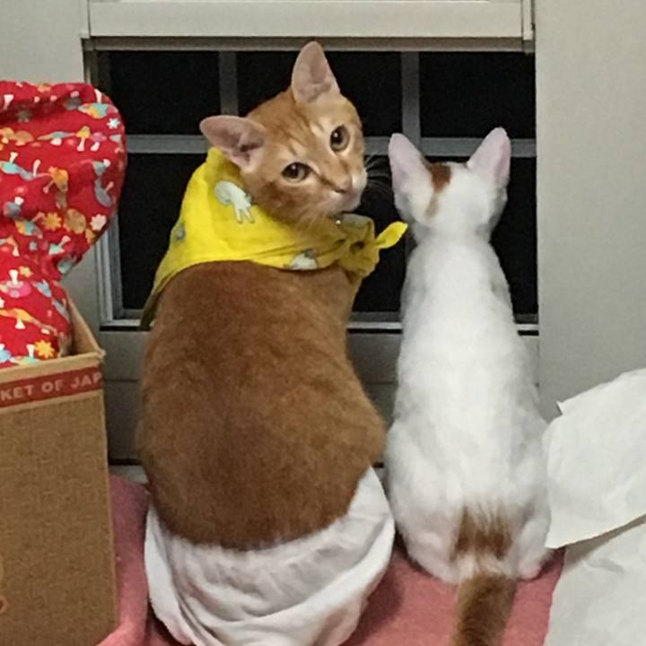 Ed48e626 4a27 4c8a 92f7 9ddab8141e30