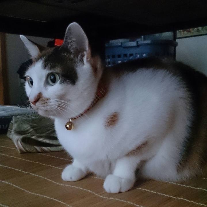 Ed494252 973b 4101 bd45 fc0f9b3a4fe5