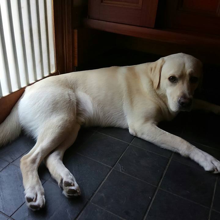 Ed4976ce b163 4650 b641 5f566b47c1b5