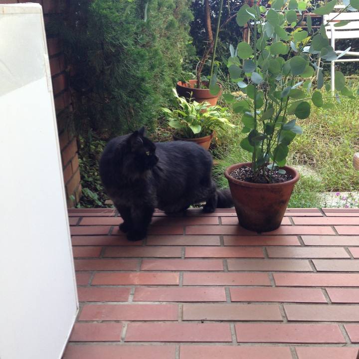 Ed4978e9 bb5b 4179 844d 22a5a567250d