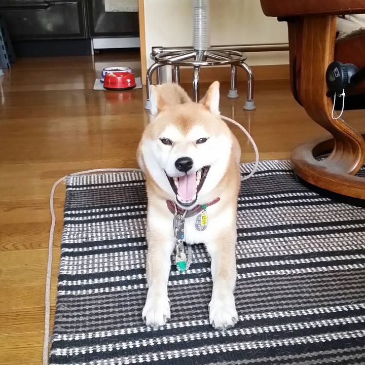 Ed4a3bc4 4939 4f63 b74a 3b40e0b8b5c7