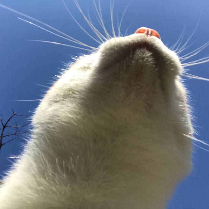 Ed4aae32 e72b 42f5 b304 eead1d31a2bf