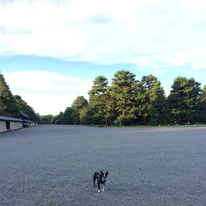 Ed4ad847 e69a 40dc a809 6feedd5499c8