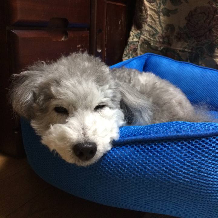 Ed4ae3af 9b43 466a 8a12 8189c26aab36