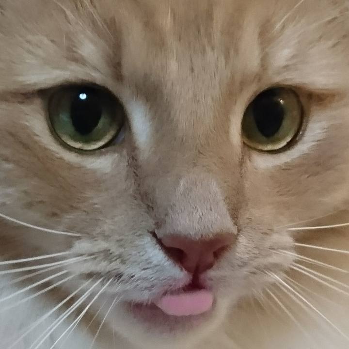 Ed4afcb2 ca02 4003 8768 c5e16ac61432