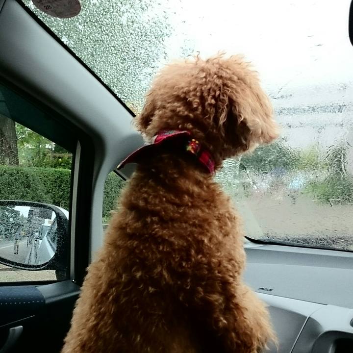 Ed4b930a 49a1 4fc5 80e7 7fcb25ad5988