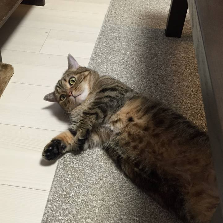 Ed4bc562 d40b 4767 b4dc f26faa951d5d