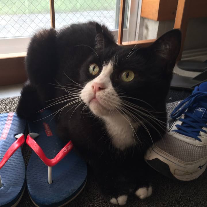 Ed4c2579 6e27 43df a4b4 af6dd539ef7a