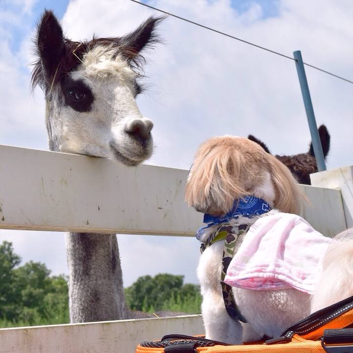 Ed4c2e84 39dd 43a2 9f8d 2309572161df