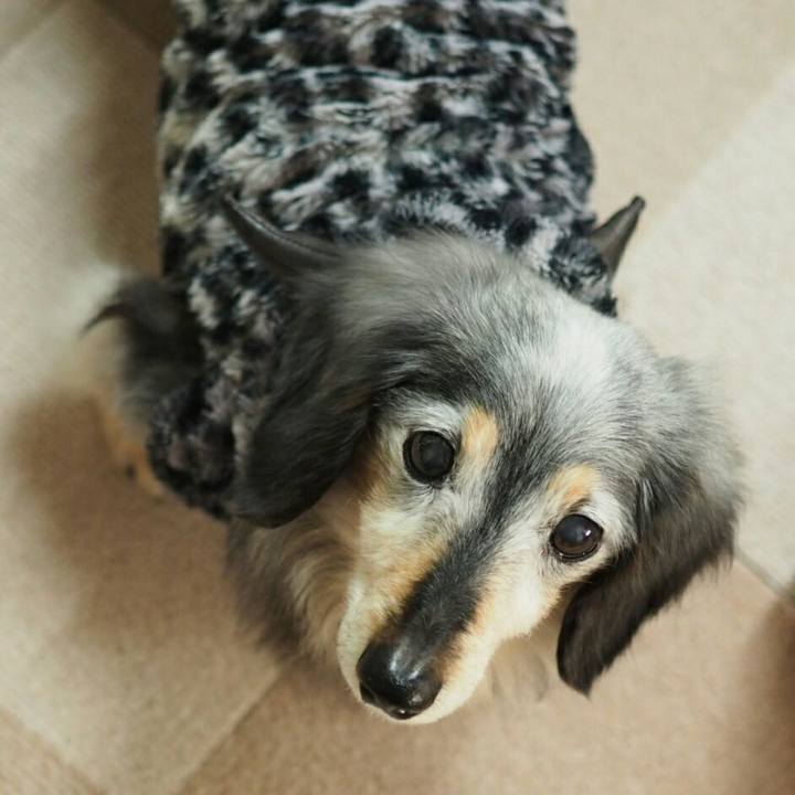 Ed4cb677 d7c0 44ec 9d7c 6dd32de8eaab