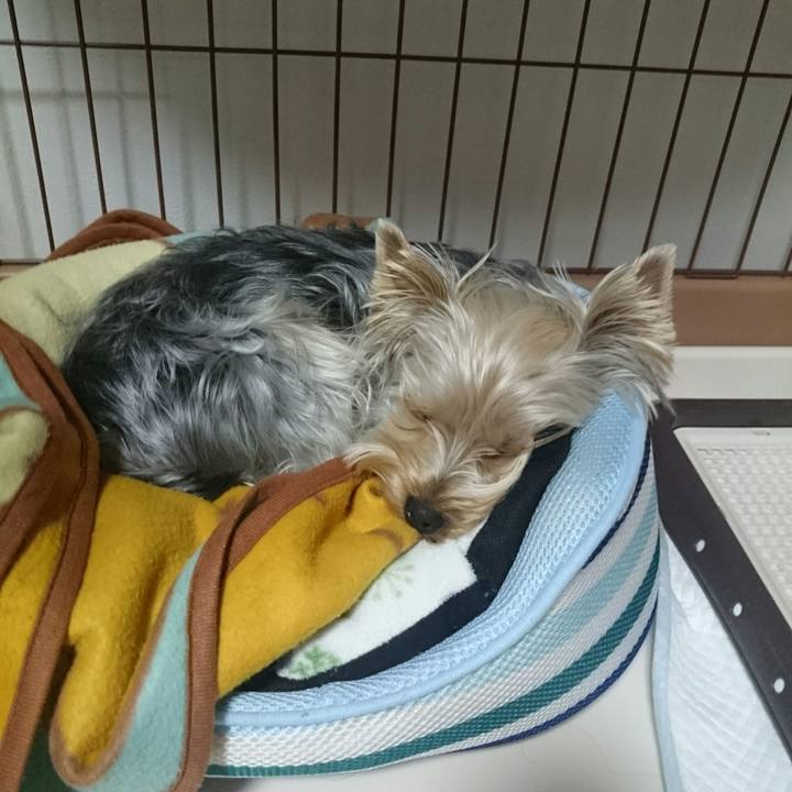 Ed4cc5f0 695c 47a6 b865 c2e2cb2c95e2