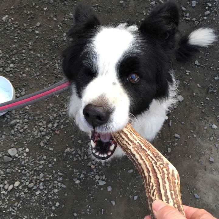 Ed4cc665 f31b 4fe4 be1a 37c1a21d9961