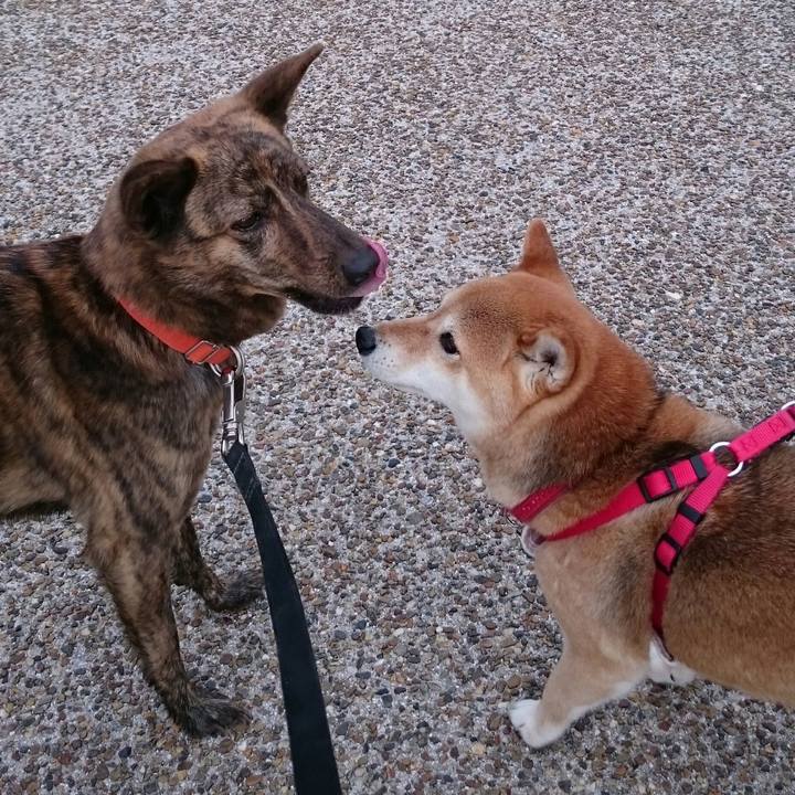 Ed4ccc74 ce56 4526 9f6c 8153020530e9