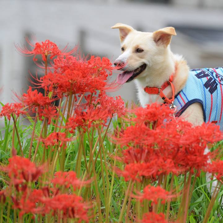 Ed4d1dc4 a2d4 403b b1cc fc4b8fc653d0