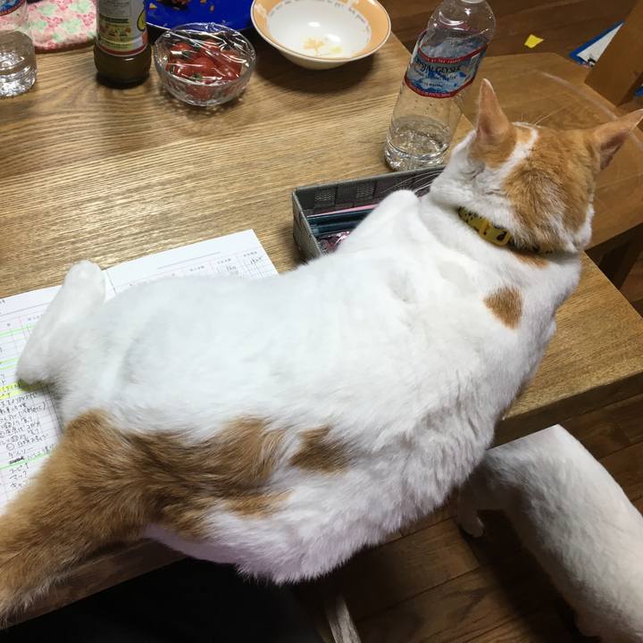 Ed4e27c1 bfef 44e8 8972 c9decb3d2906