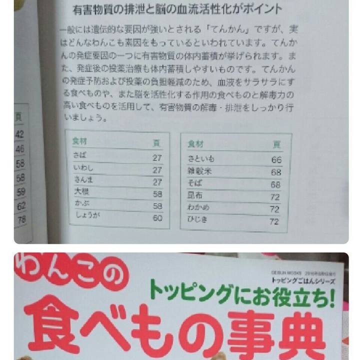 Ed4f018f 8877 4e77 8644 586987cad2c5