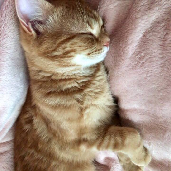 Ed4f4125 90ce 4ed2 a0cf 1c4cf8cb5f11