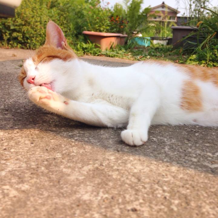 Ed4fff48 e5e0 4d6c 81b1 a05c7d5c9844