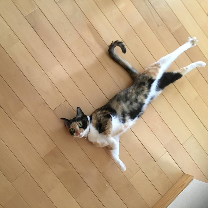 Ed521b63 1164 4044 80bc 1c3c3d06fca7