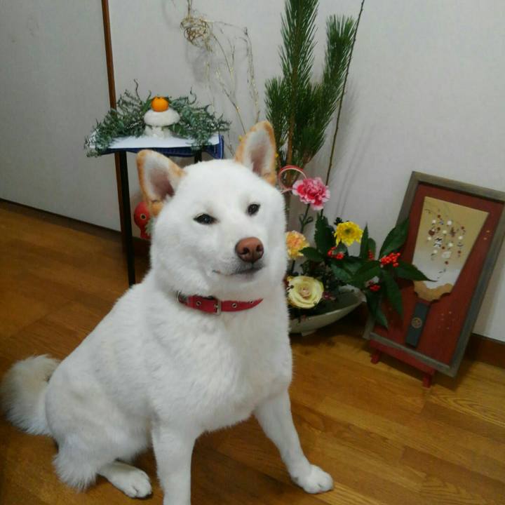 Ed524065 9cbd 4809 871b d2dd2a19f50e