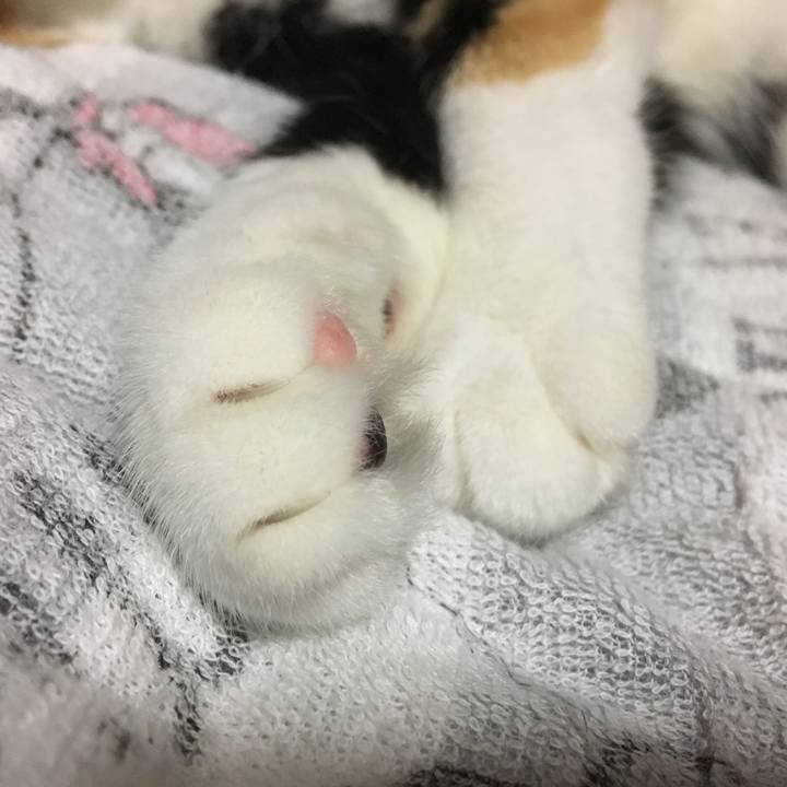 Ed527f67 f20d 476e 8ac7 3ca5373d1df0