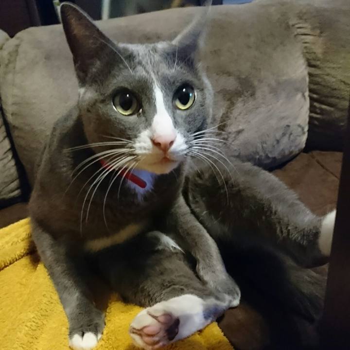 Ed530ddc 8e8a 43cb ae48 218ee047e33b