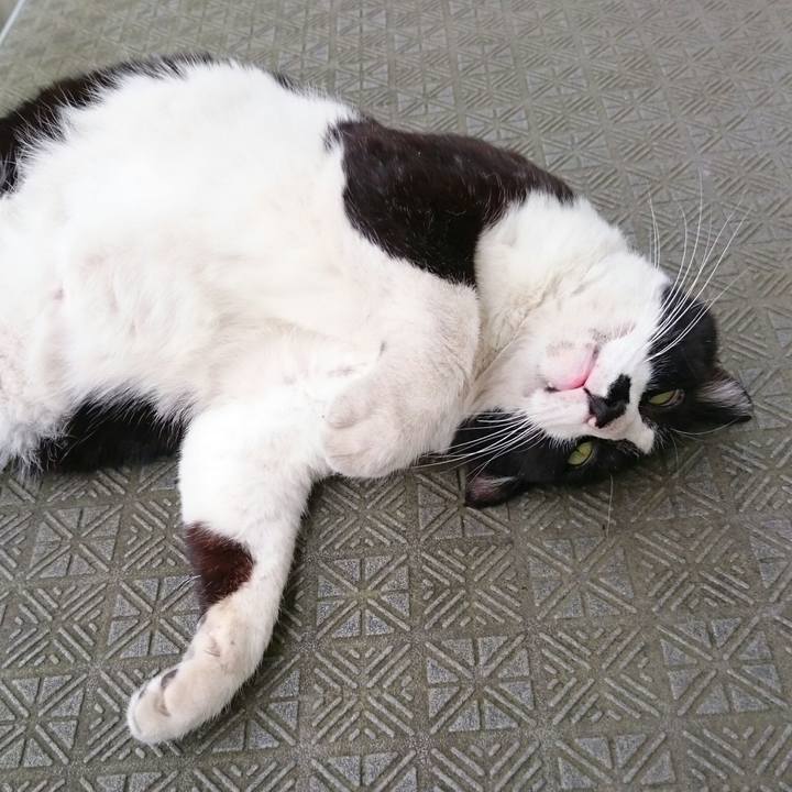 Ed53620b b6d6 4605 9326 80ed01a1ee8f