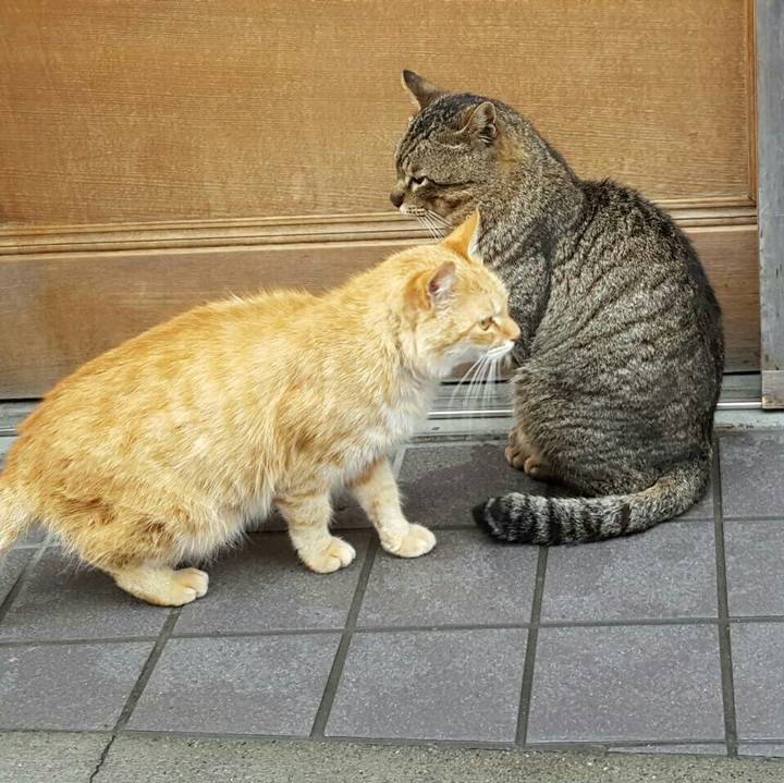 Ed539d8d 956d 4765 917b d111d9f6f72b